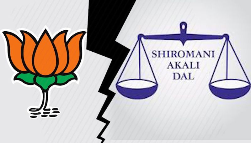 Shiromani Akali Dal to fight Haryana assembly elections sans BJP