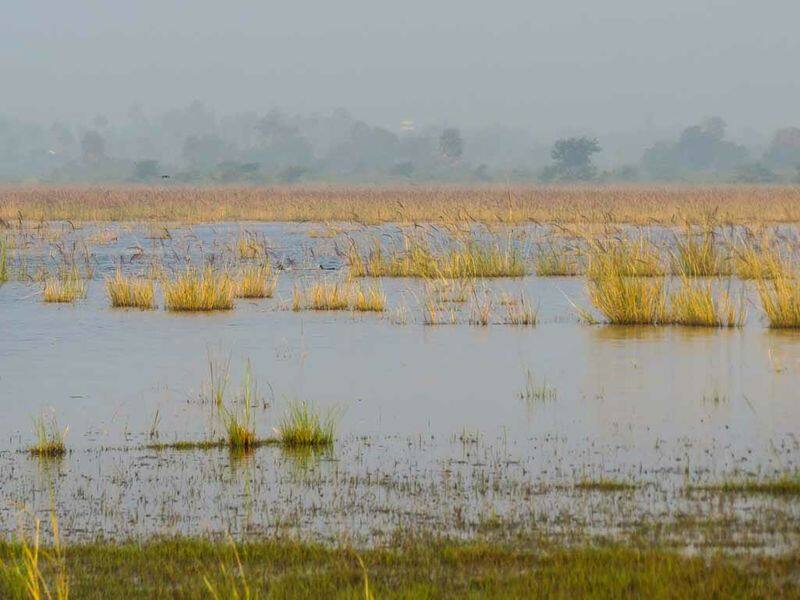 should save chennai marsh land and palaverkadu lake