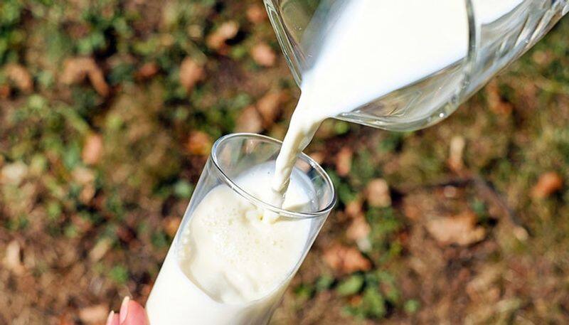 38 percent adulterant found in milk in india says research result
