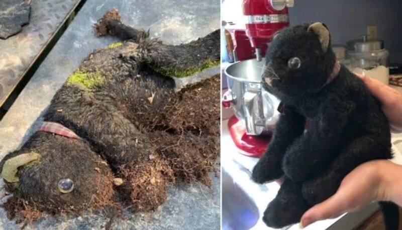 Woman finds daughter s toy 14 years after she lost it
