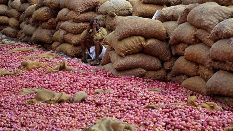 Government bans export of onions