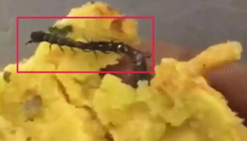 Centipede in vada pav shocks