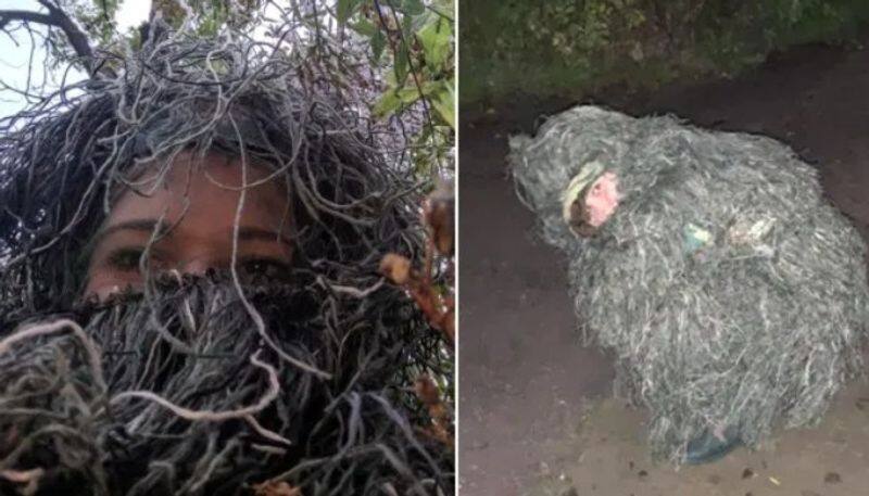 Woman dresses up as a bush to  capture sisters wedding proposal