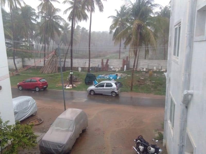 heavy rain in tamil nadu and so farmers feel happy