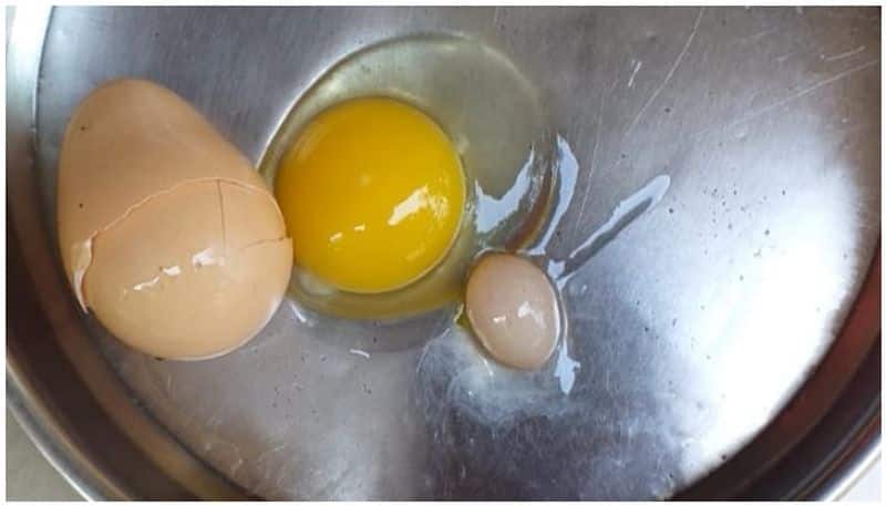 egg inside of an egg
