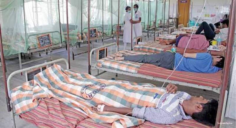 tamil nadu have heavy affected by dengue fever ,nearly 3 thousand people's affected