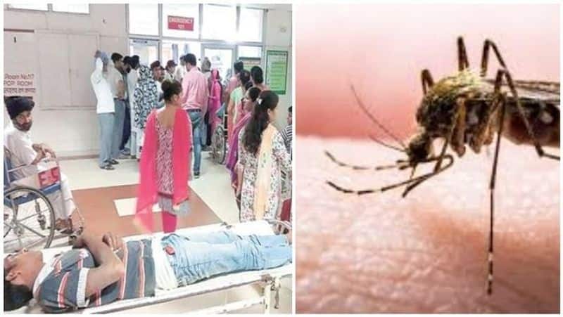 dengue fever spreads in tamilnadu