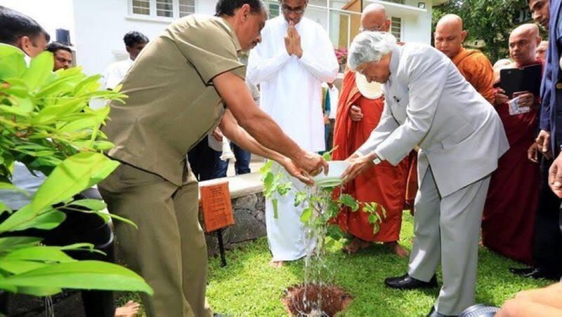 minister vijaya baskar participated in planting trees in karur