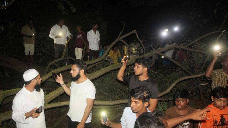 Uddhav Thackeray On Felling Of Trees At Aarey