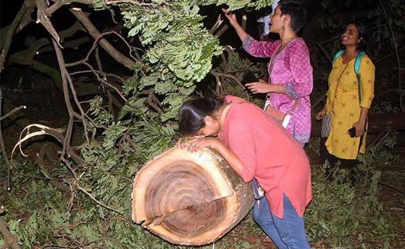 mumbai tree cutting