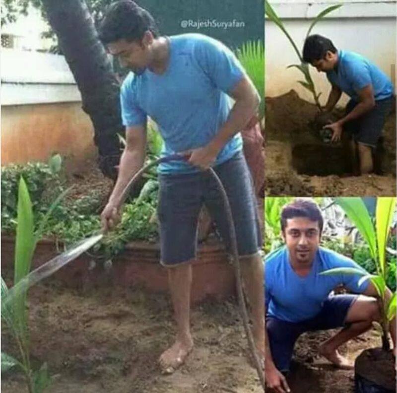actor surya taking care of coconut tree in his home garden