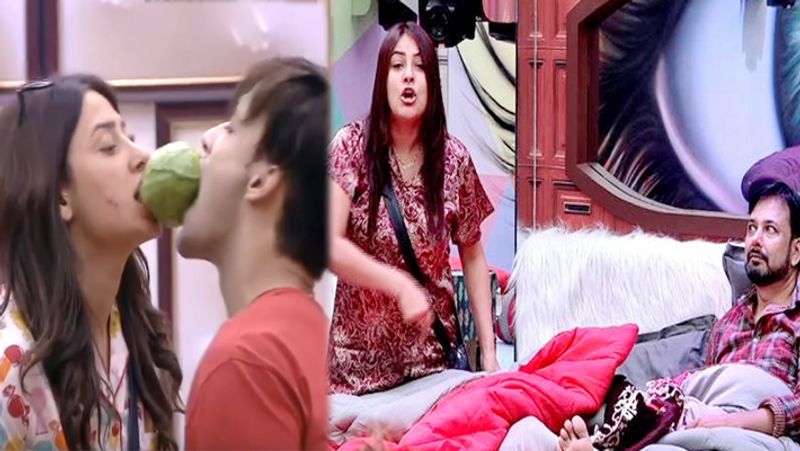 Bigg Boss 13: BJP MLA seeks ban, says show is 'spreading vulgarity'