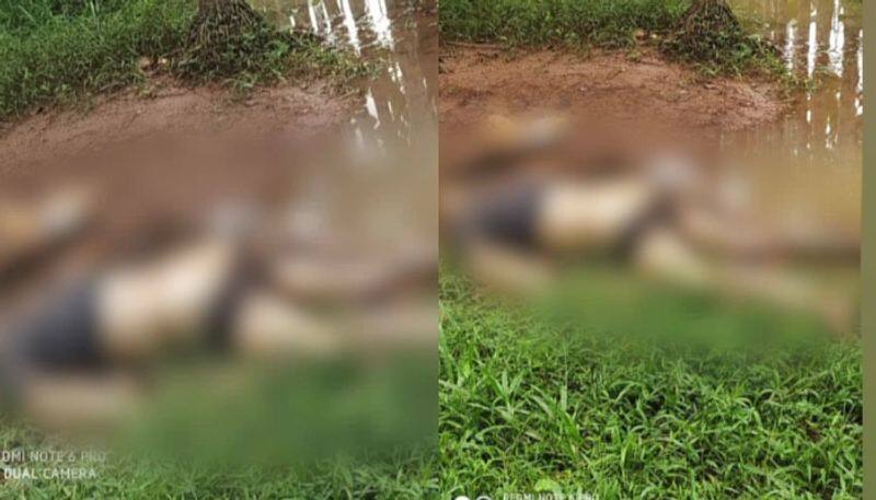 unidentified old man body found in kozhikode nit