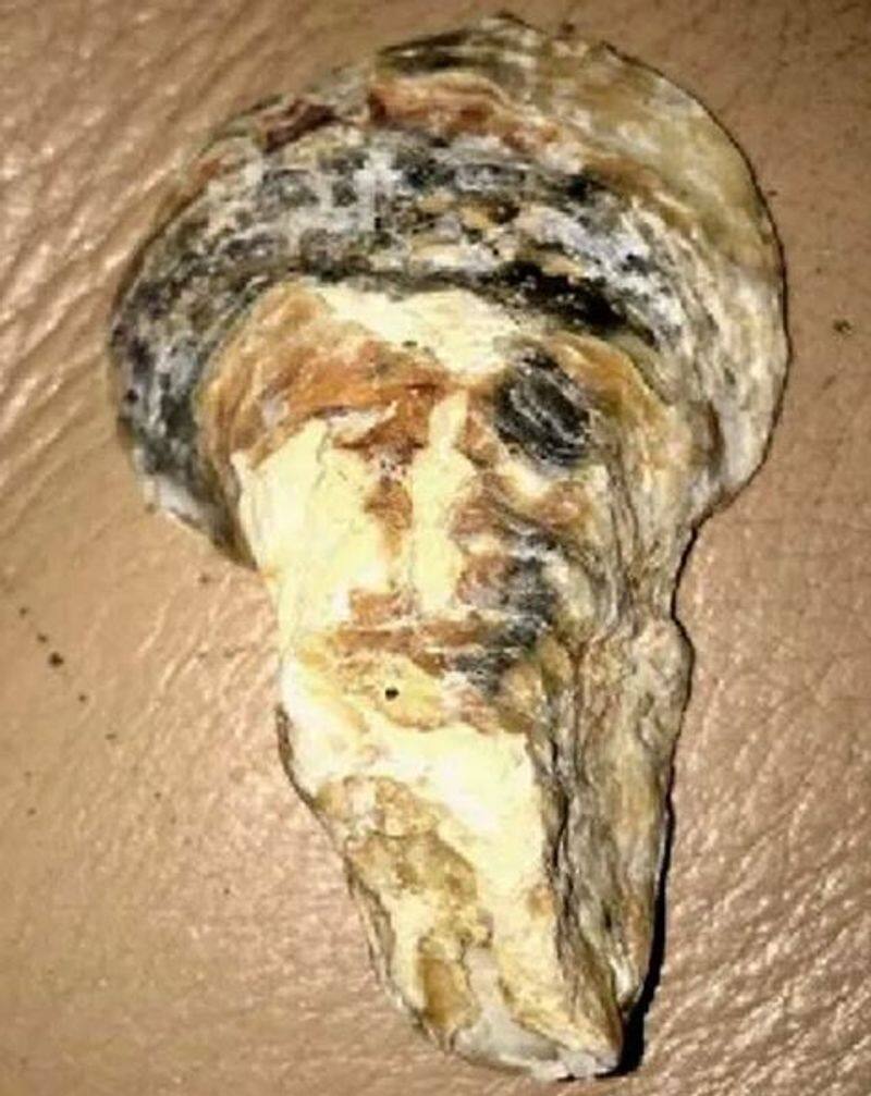 Woman finds shell that looks like Osama bin Laden