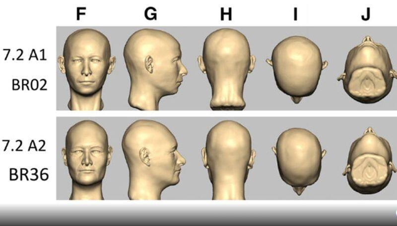 recreate faces on skulls from indus valley civilization