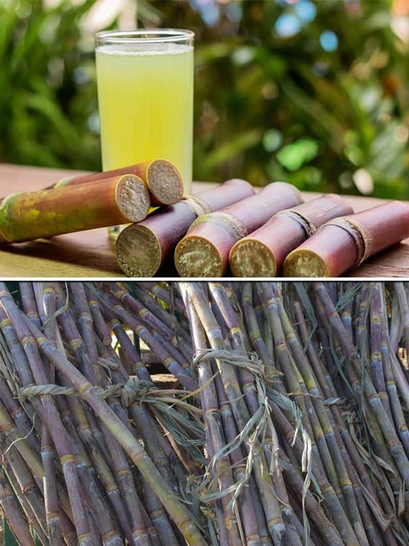 Hydration To Immune Support 7 Impressive Benefits Of Sugarcane Juice