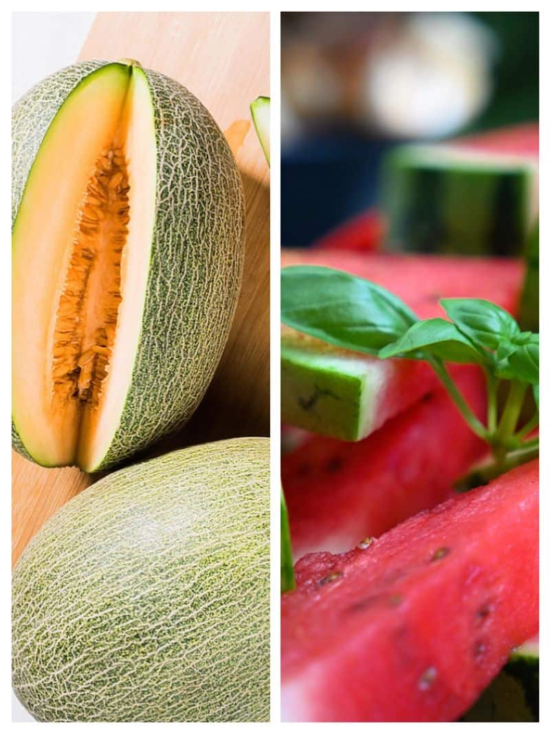 Watermelon To Cantaloupe 7 Hydrating Fruits You Must Eat In Summer