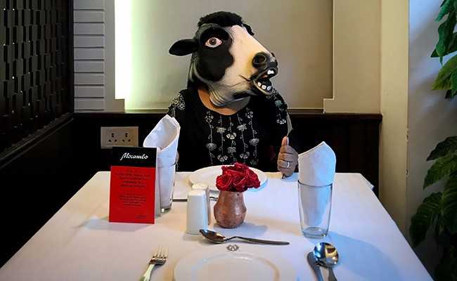 Women Don Cow Masks To Show They Are Less Safe Than Cattle