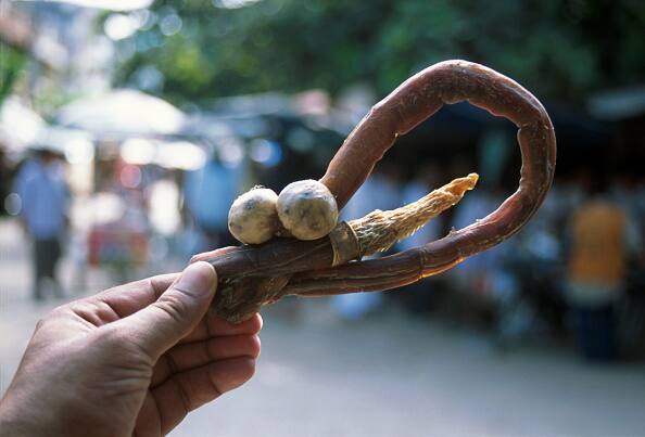 bizarre aphrodisiacs that are consumed around the world