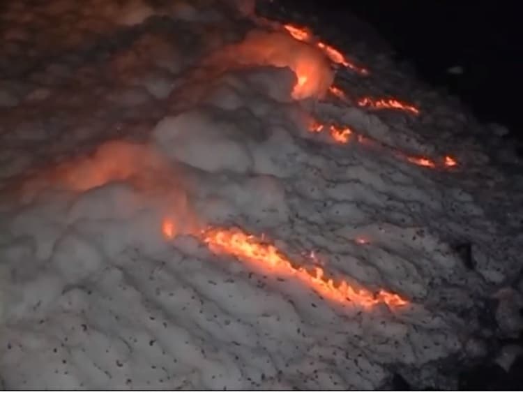 [VIDEO] Bellandur lake catches fire once again, toxic fume chokes city