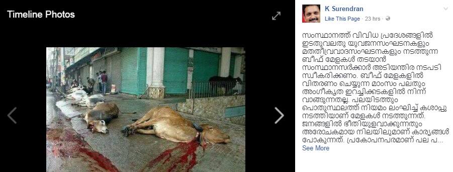BJP leader surendran controversy fake photo cow slaughter