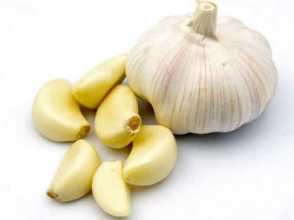 garlic is the best medicine for cancer video
