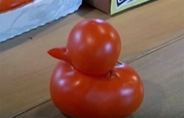 funny looking vegetables