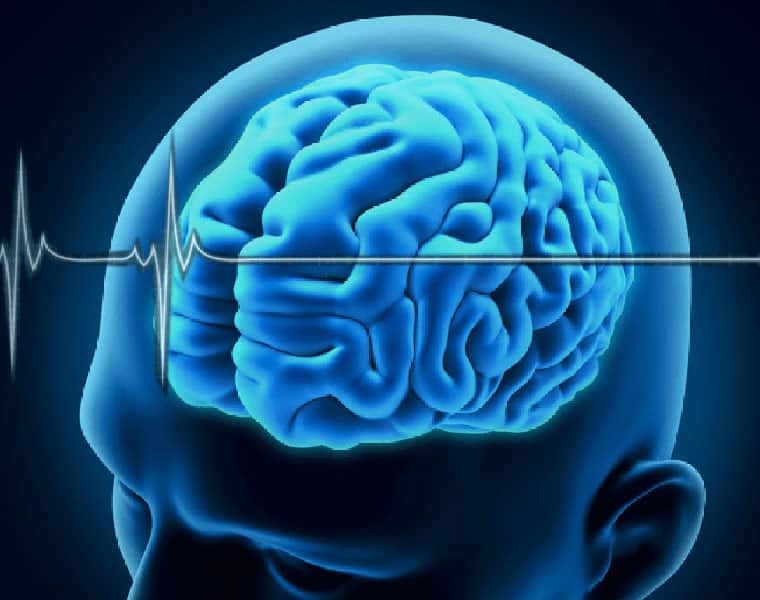 Your brain helps you avoid risky investments: Scientists