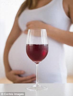 Can Drinking Red Wine Boost a Womans Chances of Becoming Pregnant