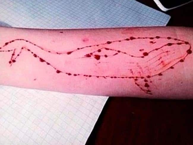 Parents beware This blue whale online game could kill your child