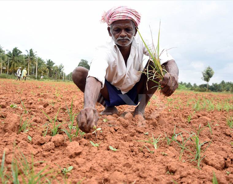 Union Budget focuses on lower middle class farmers