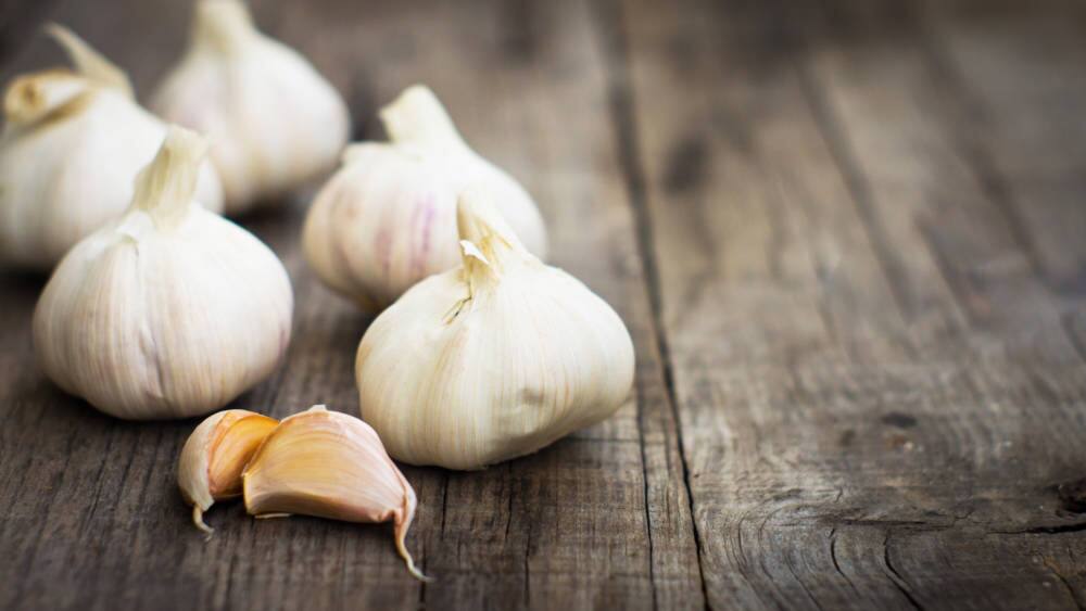 garlic milk for asthma and cholesterol