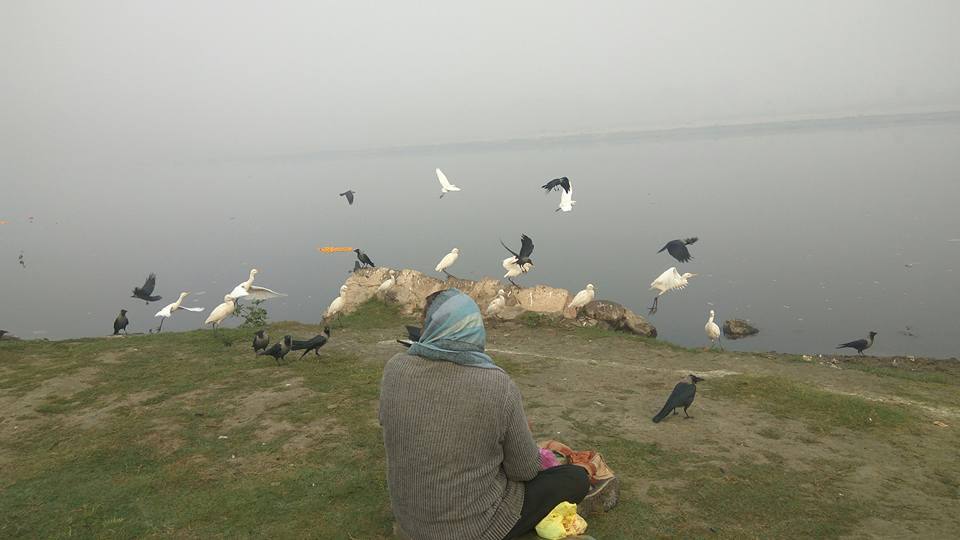 heart touching story of man who feed birds