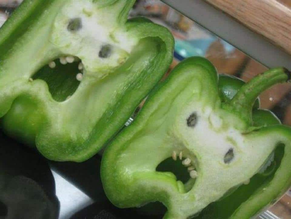 funny looking vegetables