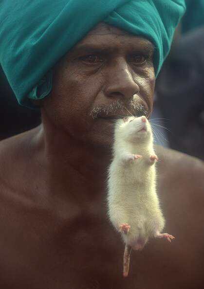 Ayyakannu Tamil Nadu farmers protest centre not responding skull naked protest