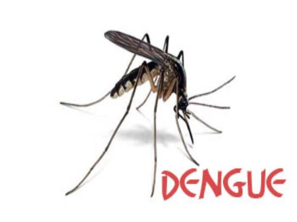 complications of dengue fever
