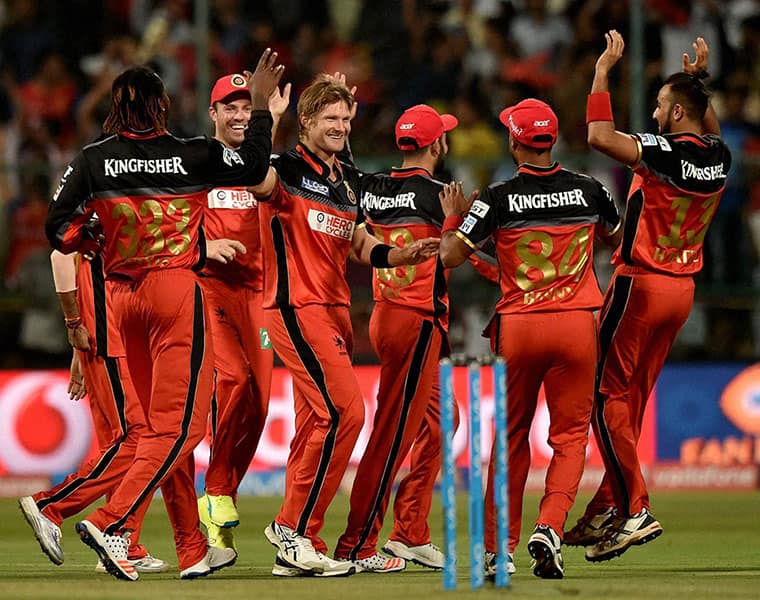 Kohli stars as Bangalore make play offs