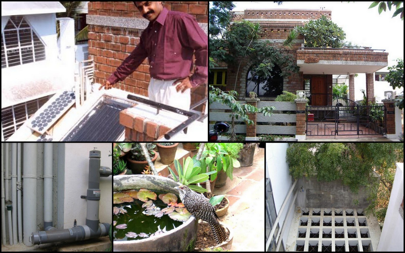 rain water harvesting bengaluru man