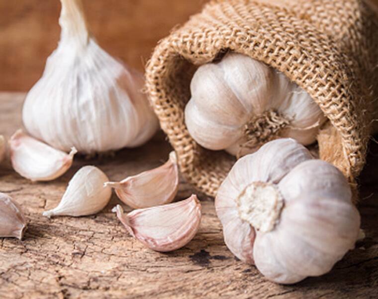 garlic is important for health