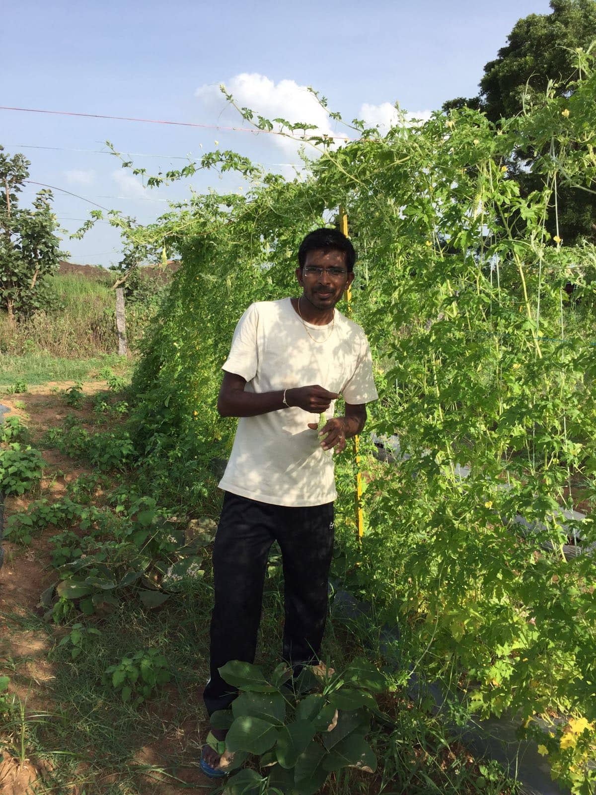 This techie left a 4 lakh job to grow vegetables