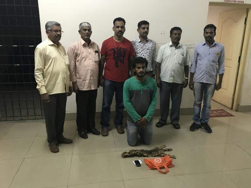 IAS aspirant caught poaching and dealing in leopard cat skin in Bengaluru