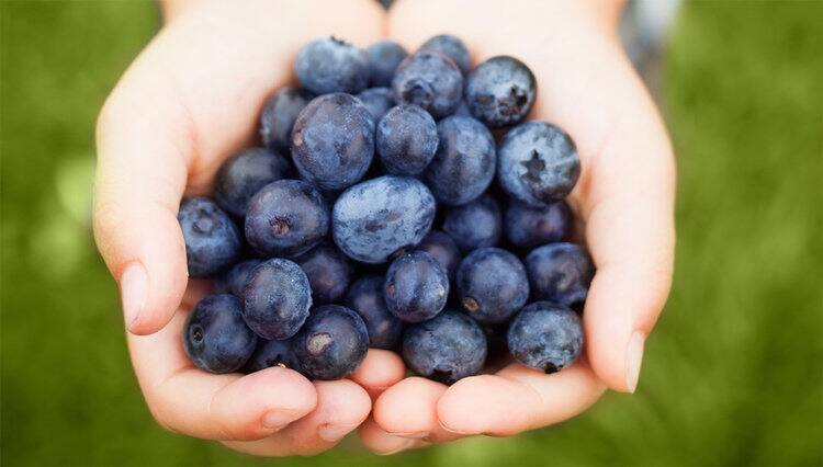 Eat blueberries while treating cervical cancer