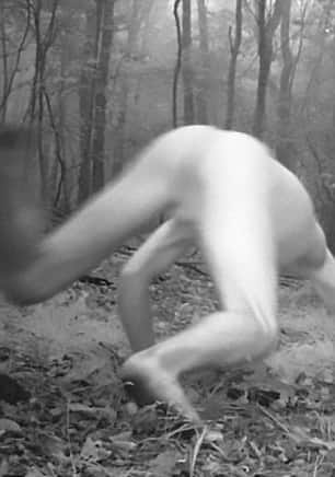 Hidden cam in forest captures something unusual