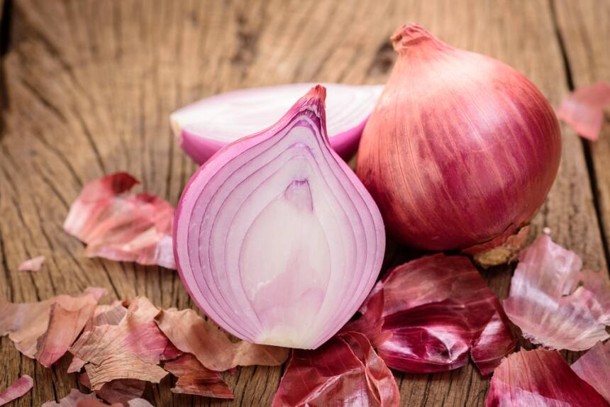 onion turns in its colour by observing bacteria and virusus