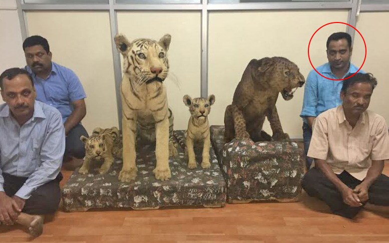 IAS aspirant caught poaching and dealing in leopard cat skin in Bengaluru