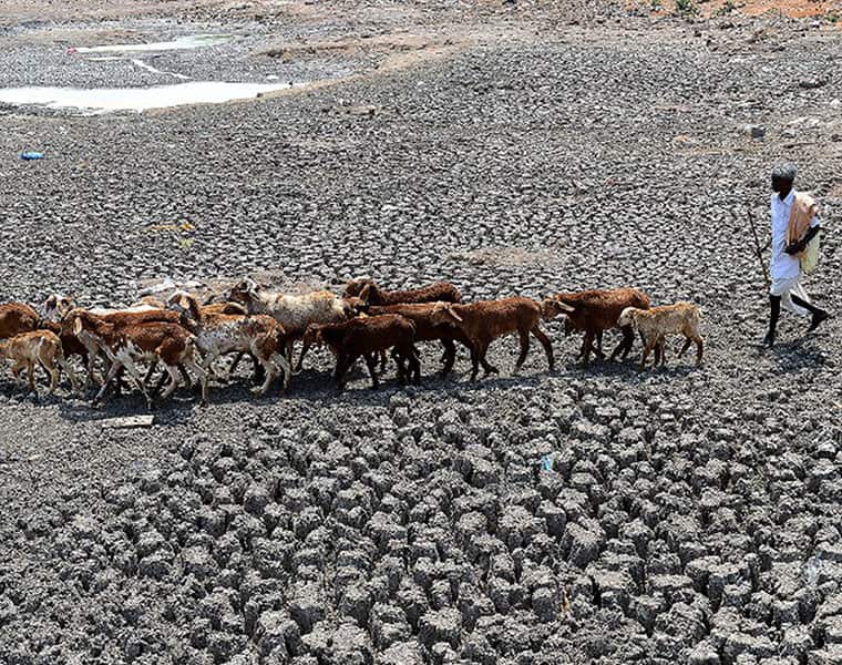 Anantapur drought now is government made disaster