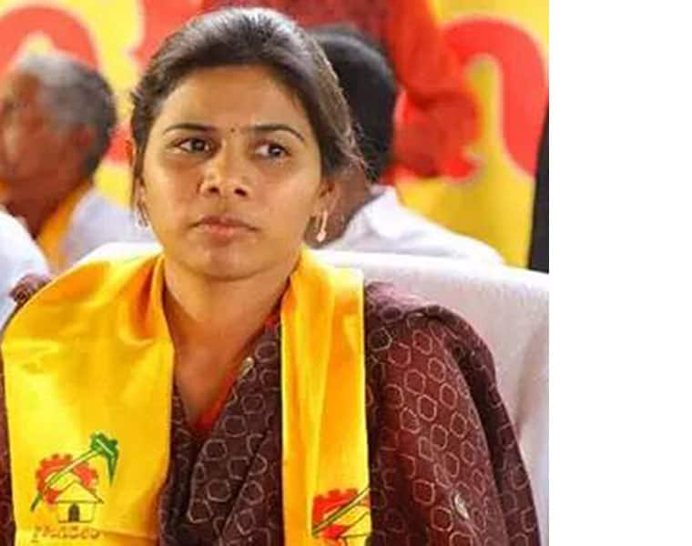 TDP 2019 formula Naidu to rejig cabinet and depute a couple of ministers to party work