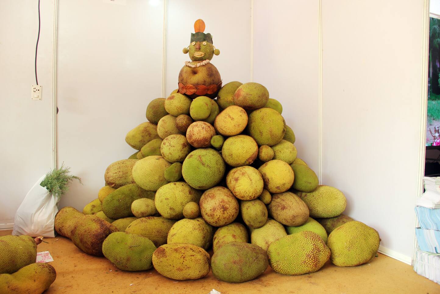 Jackfruit festival in Thrissur