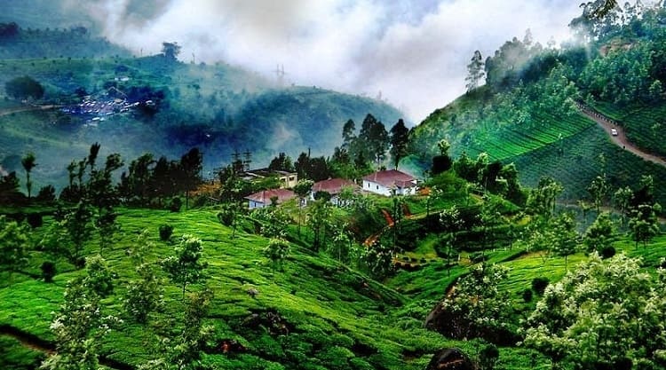 The Scotland of India Coorg