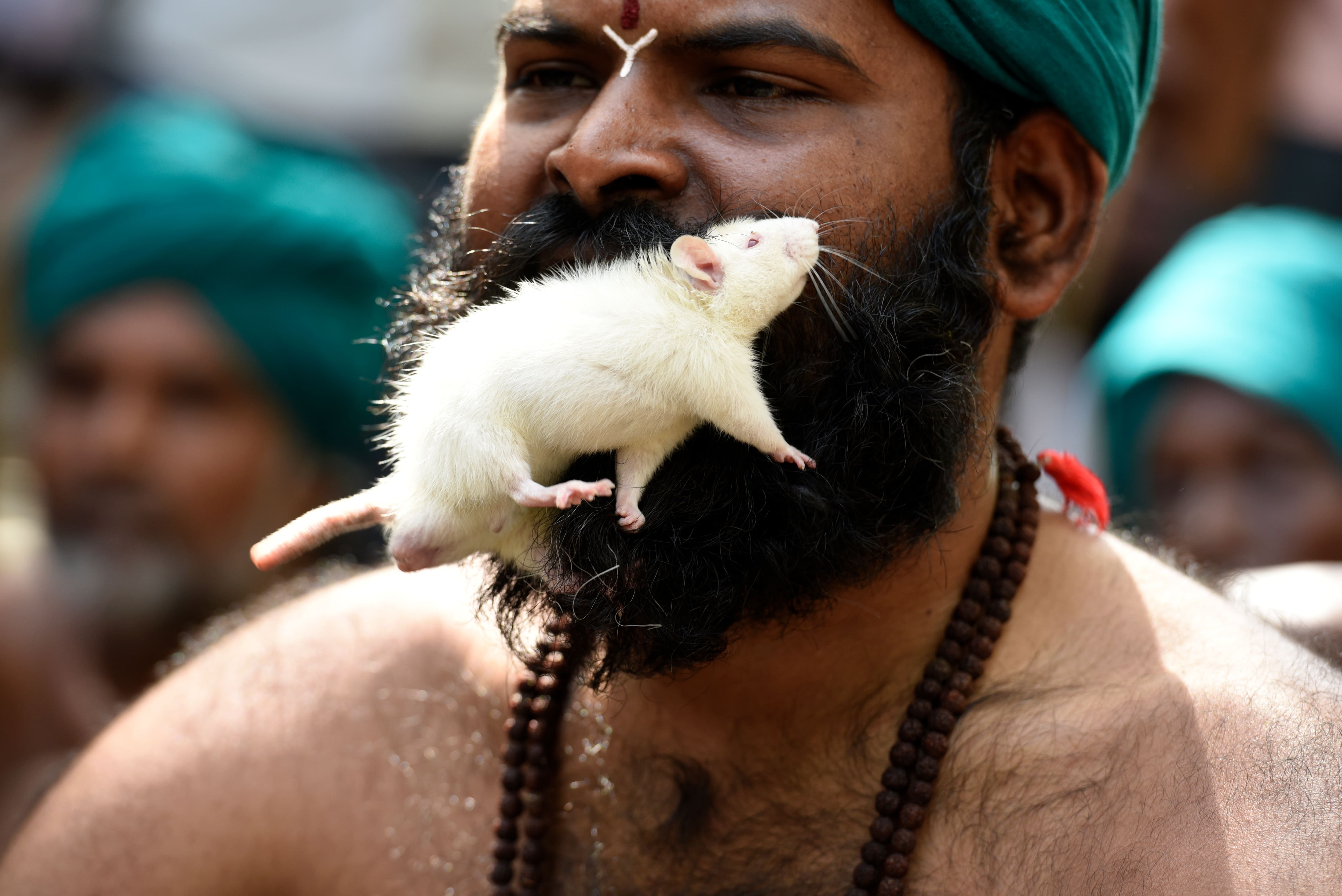 5 weird protests that took people aback in India over the years pictures